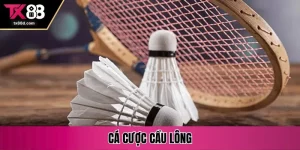 cá cược cầu lông