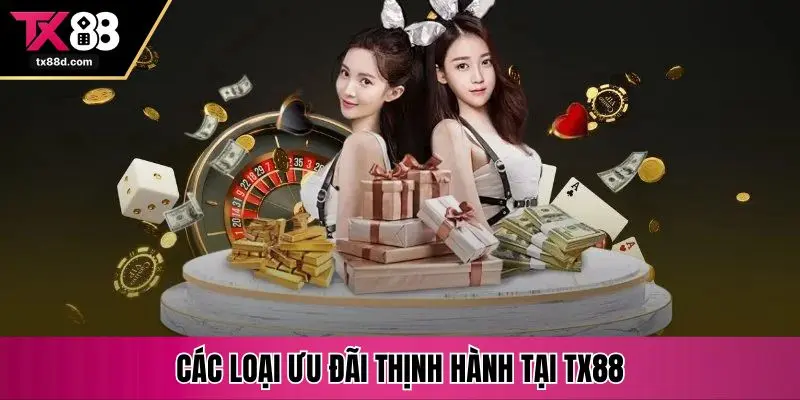 Các loại ưu đãi thịnh hành tại TX88